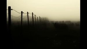 «Вечер и Ночь» Ирина Богушевская