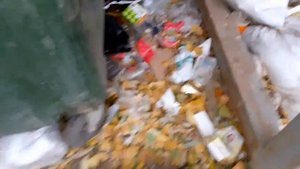 ищу алюминиевые банки по мусоркам