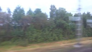 Поездка на ЭД4М-0096 от Балакирево до Александров-1. Ярославское направление