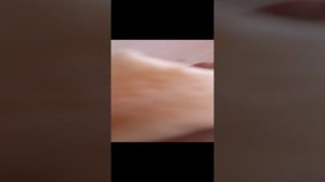 челендж для вас