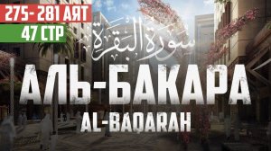 Cура аль Бакара 275 - 281 аят Абу Хабиба | Sourate al Baqarah | سورة البقرة