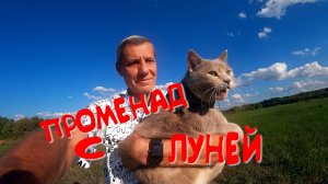 ПРОМЕНАД С ЛУНЕЙ.ЛУНЕ НЕ ПОНРАВИЛОСЬ!