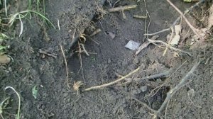 Коп по ЧЖУРДЖЭНЯМ, ГОЛЬДАМ в Приморском крае.