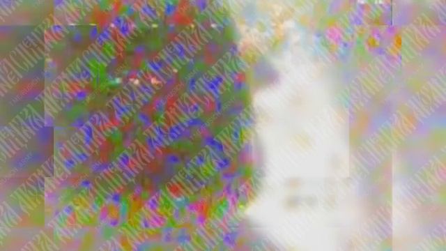 🪖 Перемещаясь со светомаскировкой в ночное время, обеспечить себе безопасность в современных реа...
