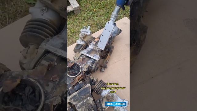 scene_output.mp4 смотреть онлайн