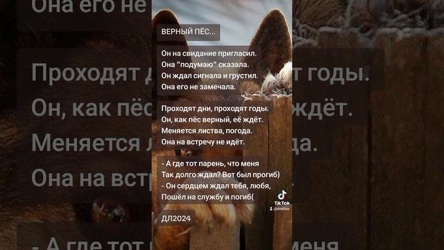 Верный пёс...