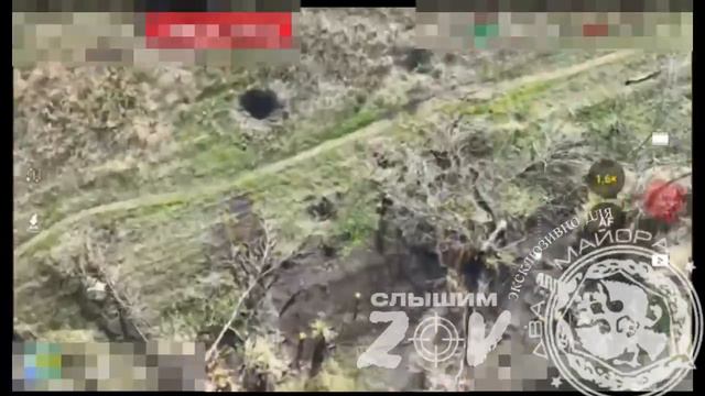 Запорожский фронт. Ореховское направление