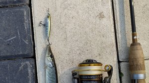 Домашний водоем, 1 июля 2024 года. Топвотеры и воблерочки