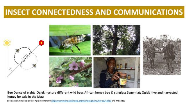 Connected Nature смотреть онлайн