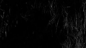 4_Tankista_i_Sobaka_012_Olgerd 12 серия