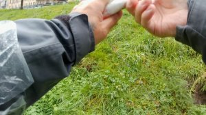 Мормышинг! Мормышинг Окунь осень дождь Окунь.