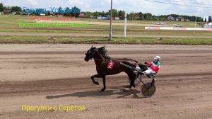 Праздник Орловского Коннозаводства