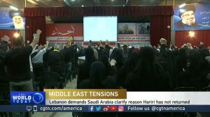 Kamran Bokhari discusses Saad Hariri’s resignation controversy