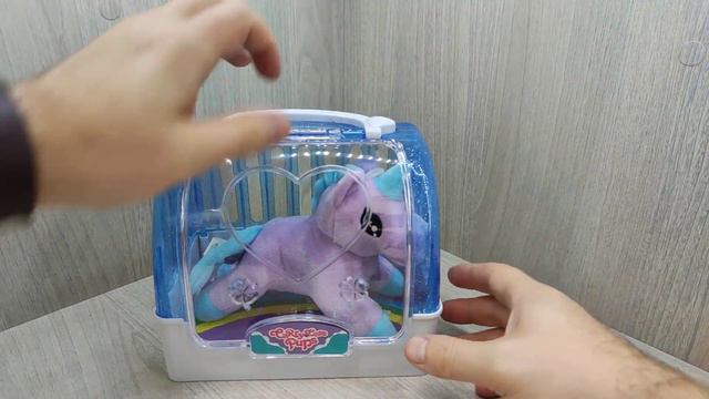 Пони