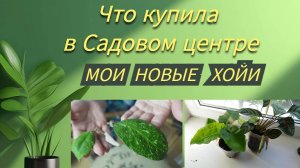 Влог/Что купила в Садовом центре/Получила посылку с хойями/Новое растение из Пятерочки.