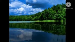 Гулчини газалхо