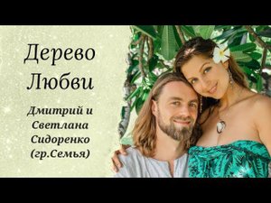 Песня «Дерево Любви»