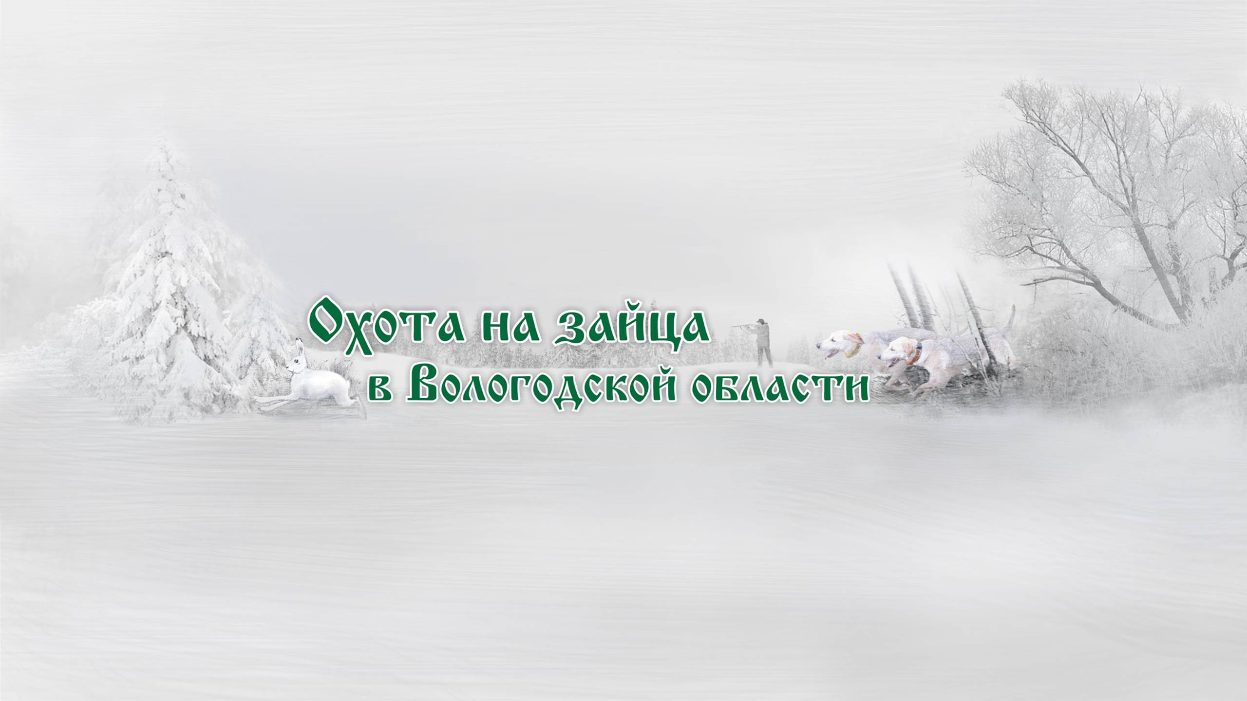Охота с русской гончей 25.09.24г. Первый в этом сезоне))) смотреть онлайн