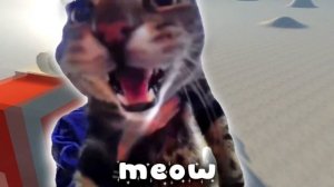 Last Christmas Cat Version (Christmas Song)