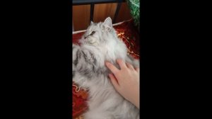 10 дел чем можно заняться если скучно