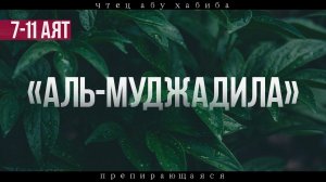 Сура 58 "Аль-Муджадила" 7-11 аят Абу Хабиба