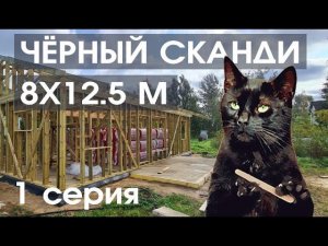 Добротный каркас 8х12,5 в один этаж. Черный Сканди Псков серия 1: каркасы, стропила.