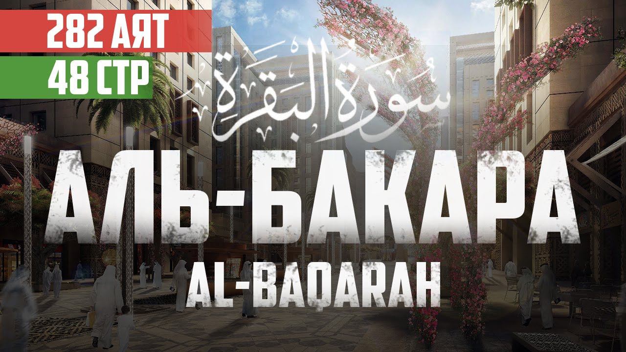 Cура аль Бакара 282 аят Абу Хабиба | Sourate al Baqarah | سورة البقرة смотреть онлайн
