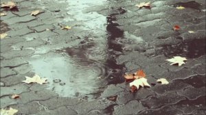 Осень приглашает погулять