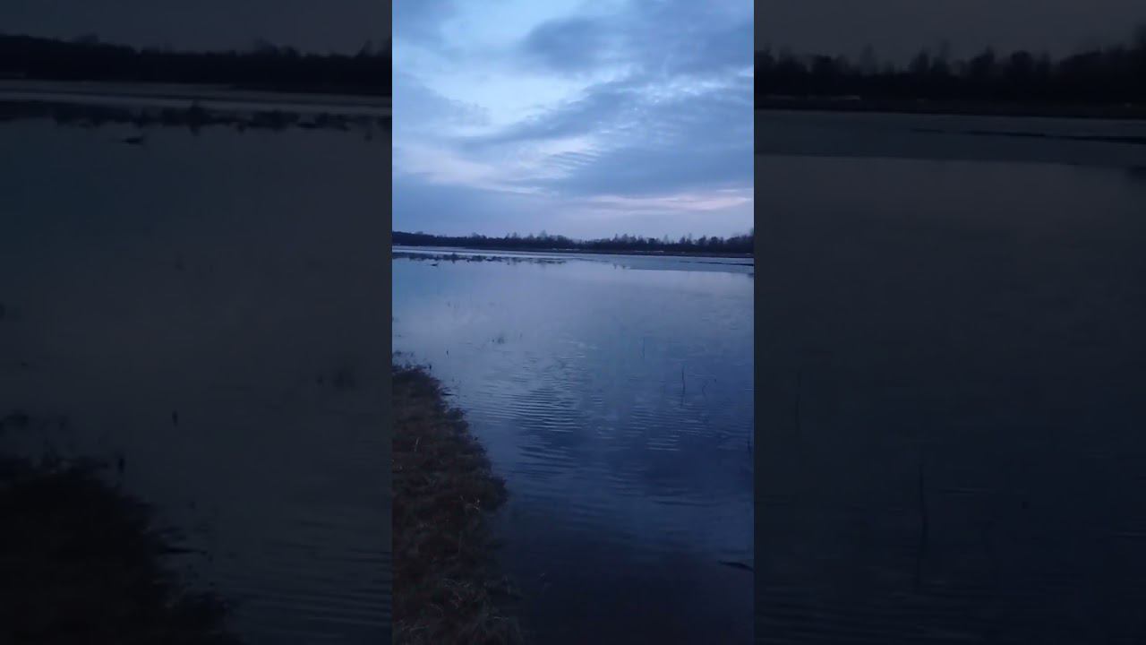 Был теплый день и лёд растопило