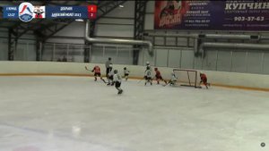 Добрыня 2013 - Заневский Молот 2013 / Детская Хоккейная Лига