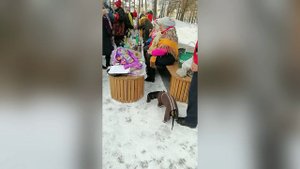 За любой кипиш. 15.04.2024 г.