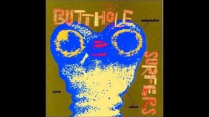 Butthole Surfers   Who Was In My Room Last Night?