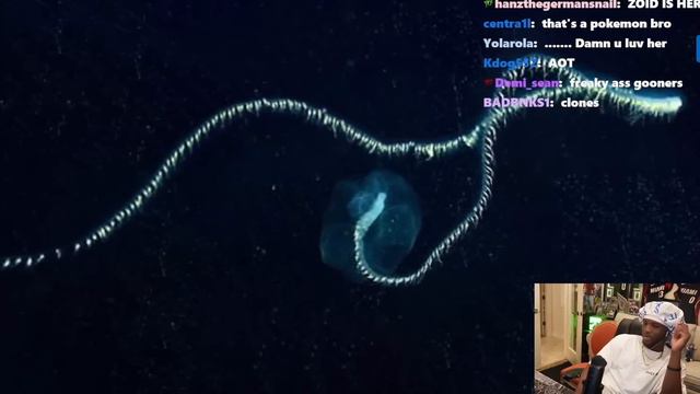 YourRAGE Reacts To NEW Discovered Animals! смотреть онлайн