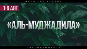 Сура 58 "Аль-Муджадила" 1-6 аят Абу Хабиба