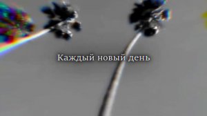 TVETH - Сapital Intro Deluxe (lyric)