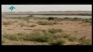 Юсуф Пайғомбар қисми 2