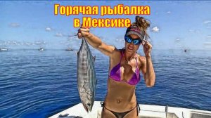 Горячая рыбалка в Мексике