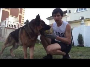 Нил Кропалов vs Тристан К.