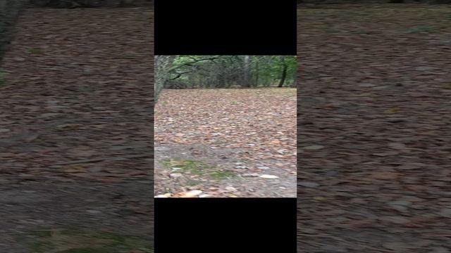 1000005525.mp4