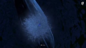 What If You Were Sucked Into a Whale's Blowhole?