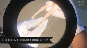 TBLeague Phicen Female Seamless Medium Breast Body w/ Head 1/12 Figure