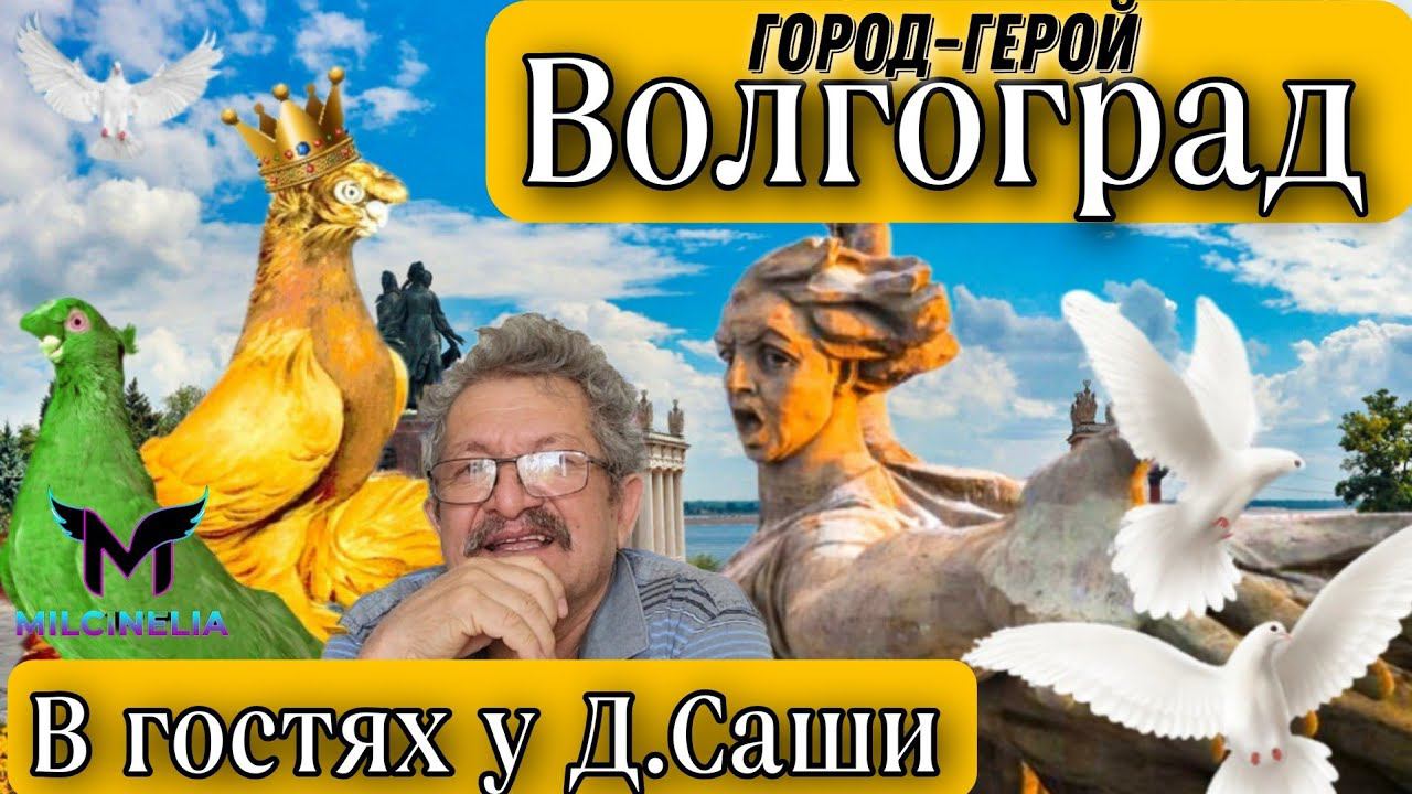 Самаркандские игровые #голуби. В гостях у Д.Саши «Город-герой» ВОЛГОГРАД. Игровые двухчубые голуби!