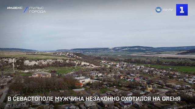 В Севастополе мужчина незаконно охотился на оленя