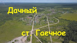 Дачный (ст. Гаечное). Вид с высоты.