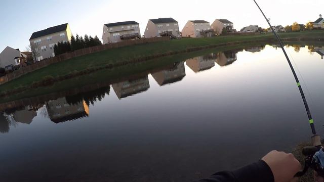 Fall Pond Fishing смотреть онлайн