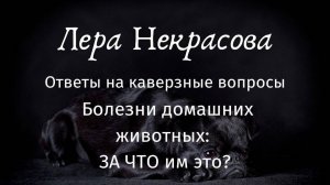 Болезни домашних животных: ЗА ЧТО им это?