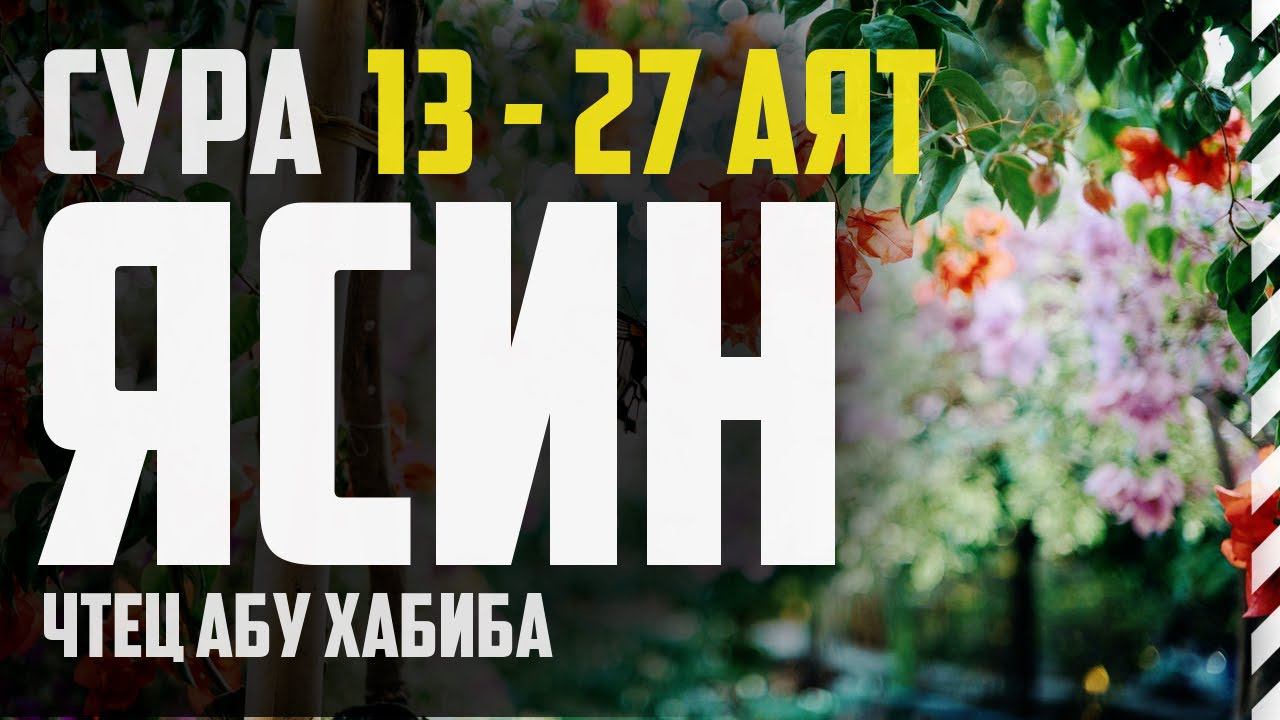 Cура Ясин 13-27 аят. Абу Хабиба смотреть онлайн
