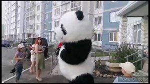 Экспресс - поздравление Панды 2,6 метра с дядей Колей в Твери!!!