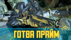 Warframe Готва Прайм (Gotva Prime) | Билд на Готва Прайм