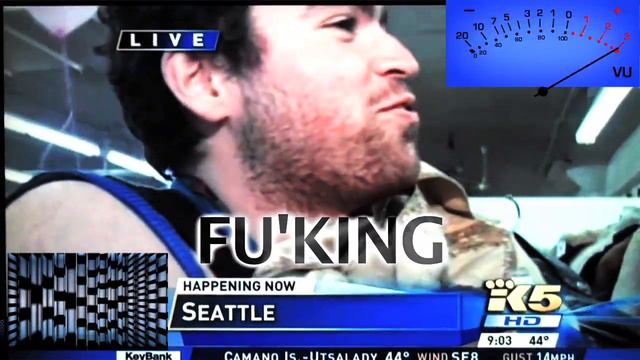 Tons of F'ing Sequins (Jake Benson Remix) смотреть онлайн